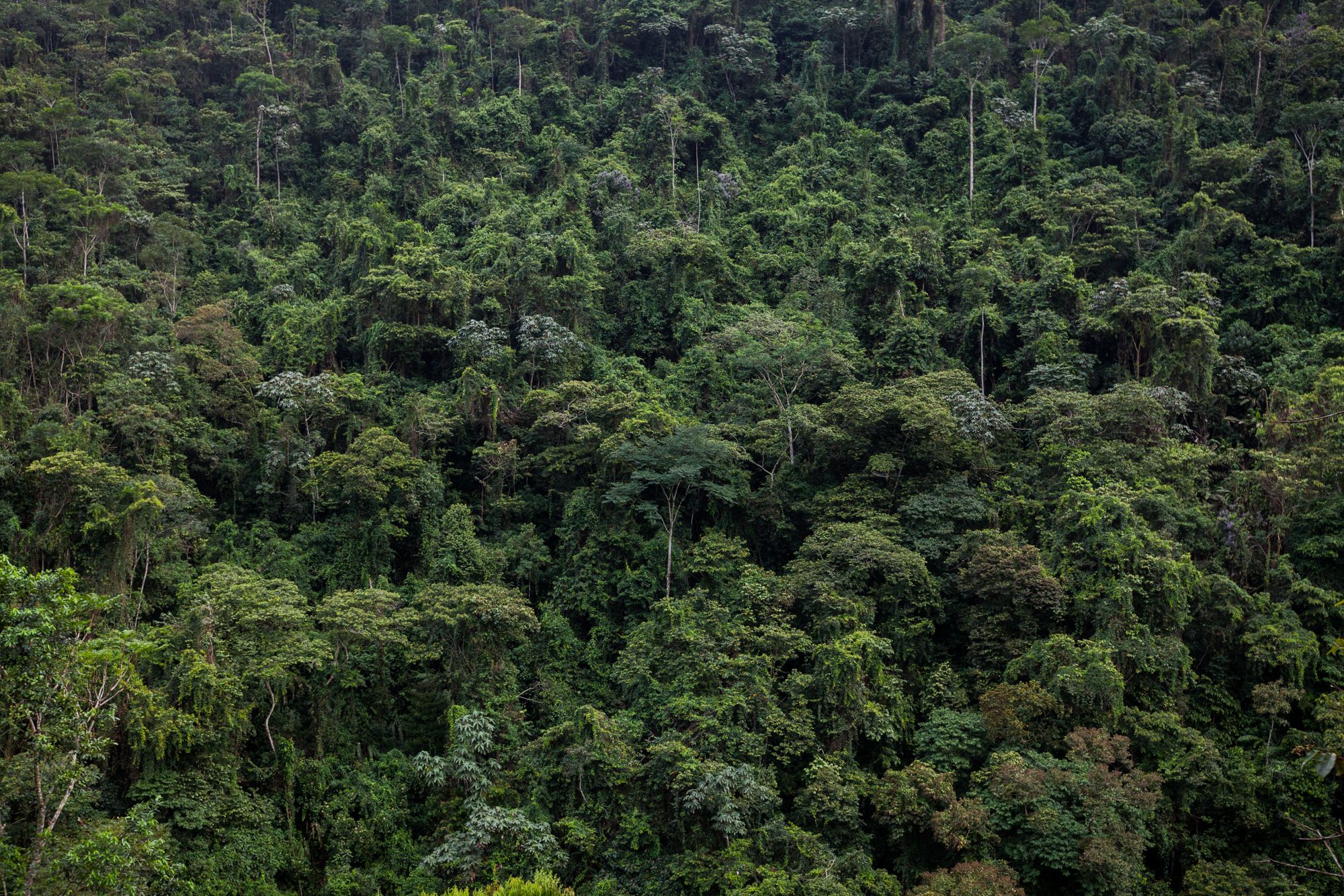Colombia BIO